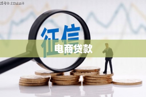商南电商贷款