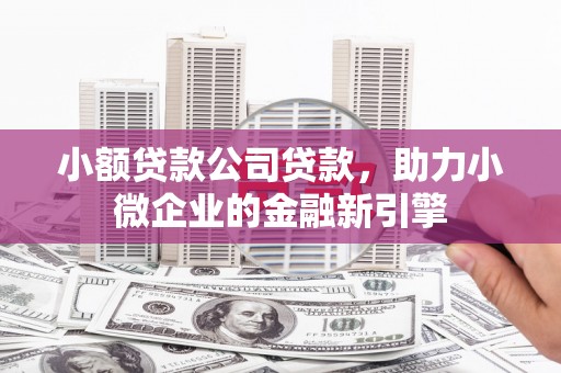 商南小额贷款公司贷款，助力小微企业的金融新引擎