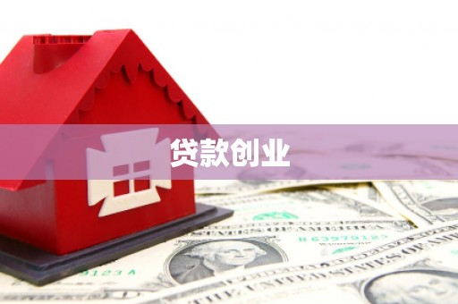 商南贷款创业
