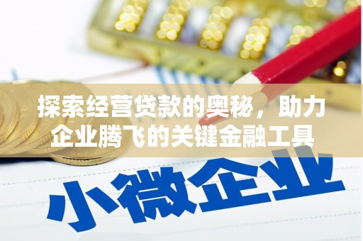 商南探索经营贷款的奥秘，助力企业腾飞的关键金融工具
