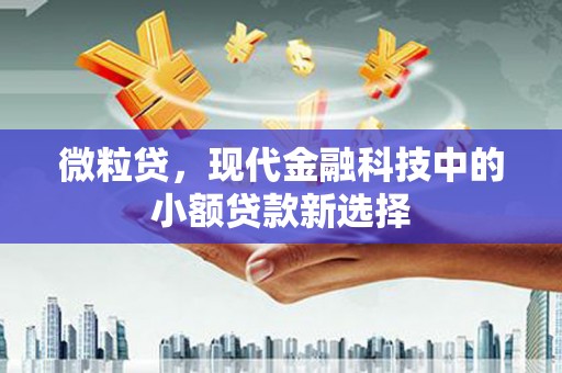 商南微粒贷，现代金融科技中的小额贷款新选择