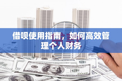 商南借呗使用指南，如何高效管理个人财务