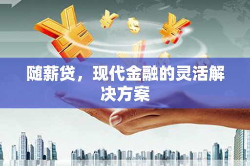 商南随薪贷，现代金融的灵活解决方案