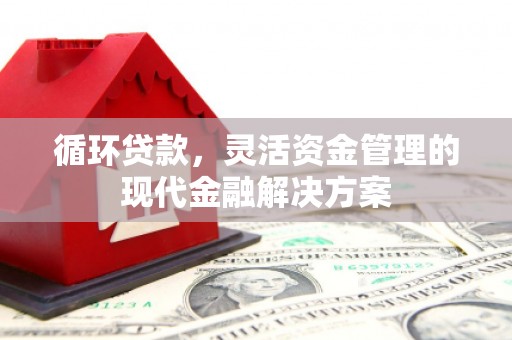 商南循环贷款，灵活资金管理的现代金融解决方案