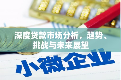 商南深度贷款市场分析，趋势、挑战与未来展望