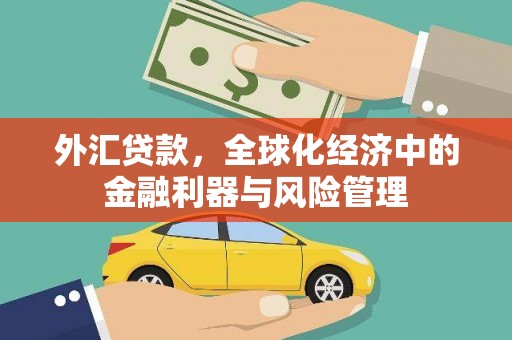 商南外汇贷款，全球化经济中的金融利器与风险管理