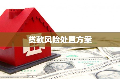商南贷款风险处置方案