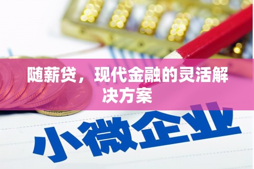 商南随薪贷，现代金融的灵活解决方案