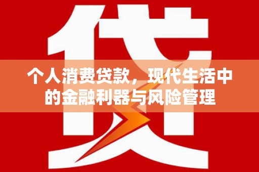 商南个人消费贷款，现代生活中的金融利器与风险管理