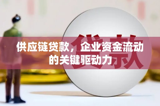 商南供应链贷款，企业资金流动的关键驱动力