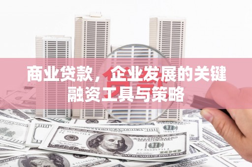 商南商业贷款，企业发展的关键融资工具与策略