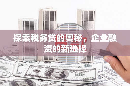 商南探索税务贷的奥秘，企业融资的新选择