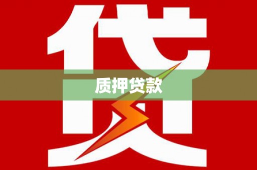 商南质押贷款
