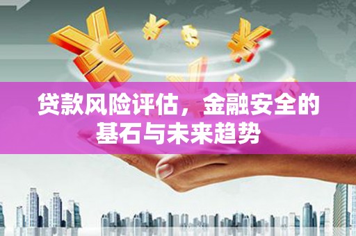 商南贷款风险评估，金融安全的基石与未来趋势