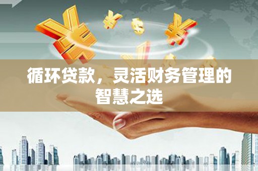 商南循环贷款，灵活财务管理的智慧之选