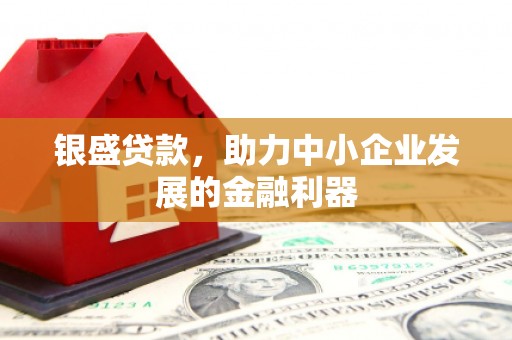商南银盛贷款，助力中小企业发展的金融利器
