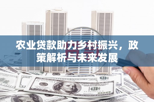 商南农业贷款助力乡村振兴，政策解析与未来发展