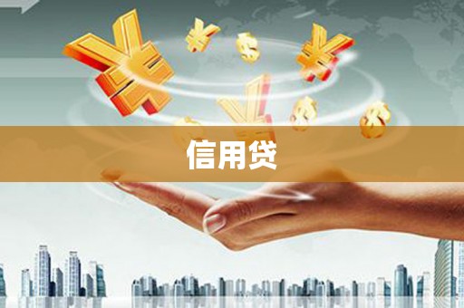 商南信用贷