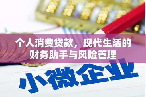 商南个人消费贷款，现代生活的财务助手与风险管理