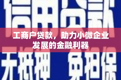 商南工商户贷款，助力小微企业发展的金融利器