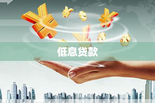 商南低息贷款
