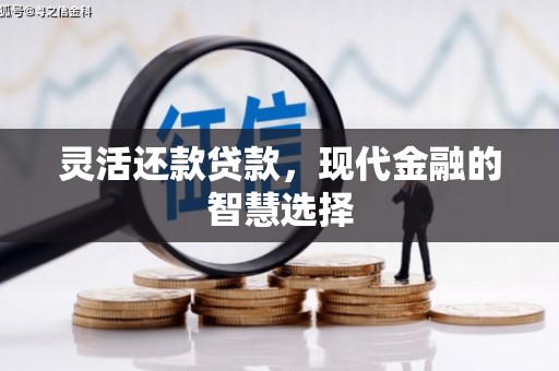 商南灵活还款贷款，现代金融的智慧选择