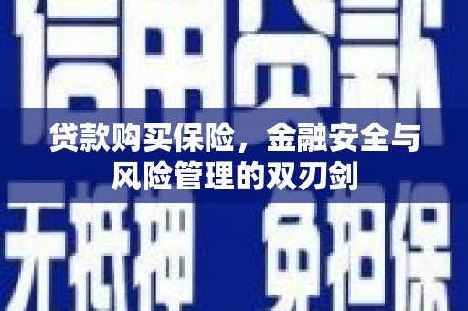 商南贷款购买保险，金融安全与风险管理的双刃剑