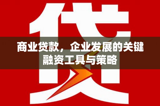 商南商业贷款，企业发展的关键融资工具与策略