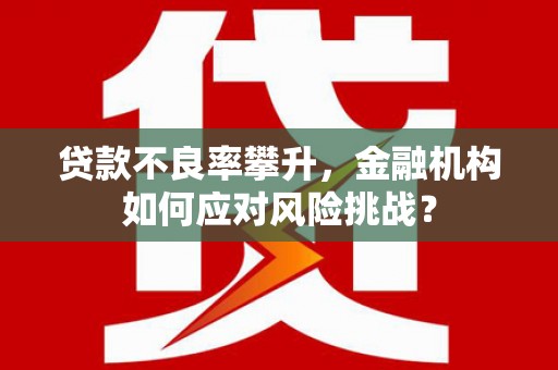 商南贷款不良率攀升，金融机构如何应对风险挑战？