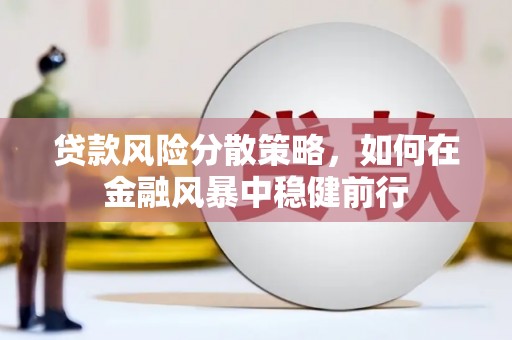 商南贷款风险分散策略，如何在金融风暴中稳健前行