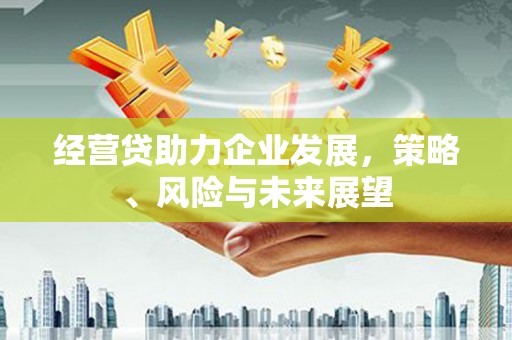 商南经营贷助力企业发展，策略、风险与未来展望