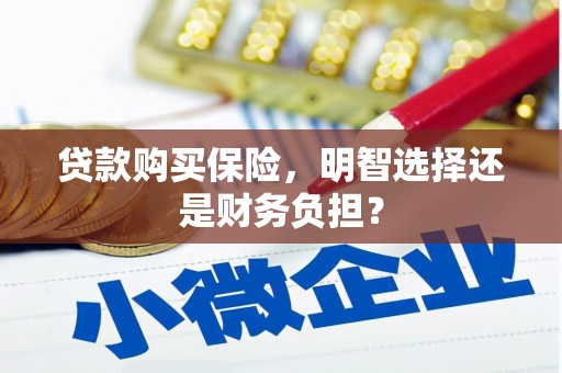 商南贷款购买保险，明智选择还是财务负担？
