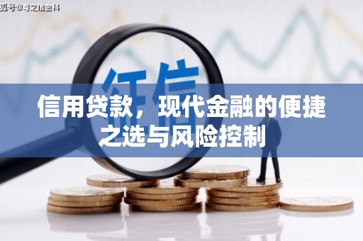 商南信用贷款，现代金融的便捷之选与风险控制
