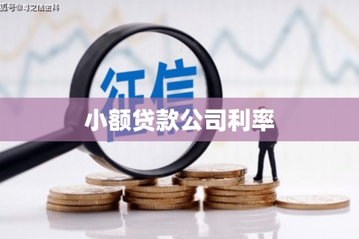 商南小额贷款公司利率
