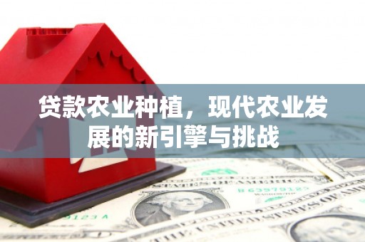 商南贷款农业种植，现代农业发展的新引擎与挑战