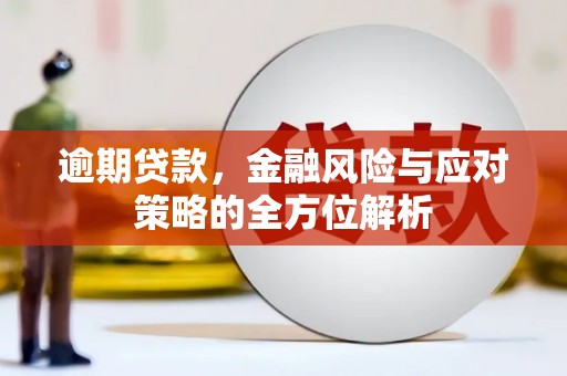 商南逾期贷款，金融风险与应对策略的全方位解析