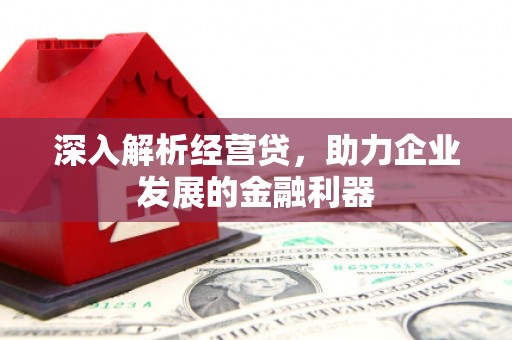 商南深入解析经营贷，助力企业发展的金融利器