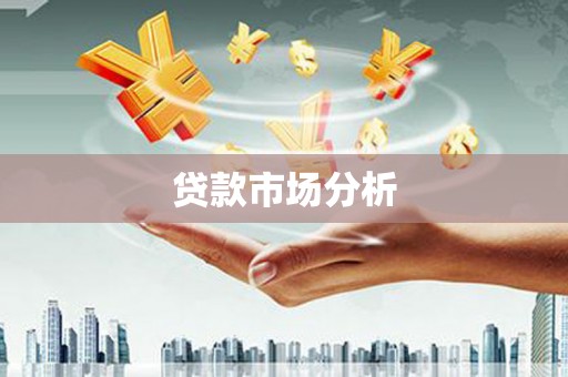 商南贷款市场分析