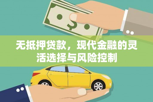 商南无抵押贷款，现代金融的灵活选择与风险控制