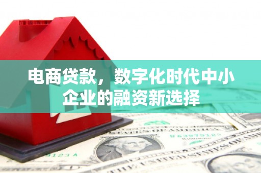 商南电商贷款，数字化时代中小企业的融资新选择