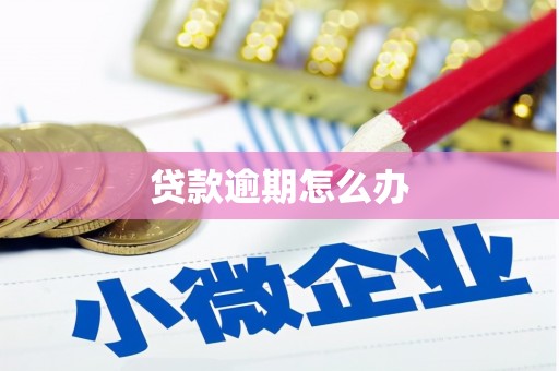 商南贷款逾期怎么办