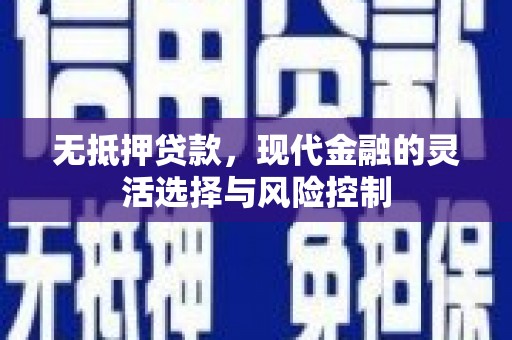 商南无抵押贷款，现代金融的灵活选择与风险控制