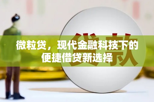 商南微粒贷，现代金融科技下的便捷借贷新选择