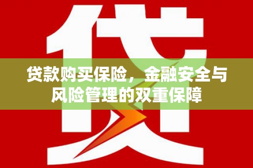 商南贷款购买保险，金融安全与风险管理的双重保障
