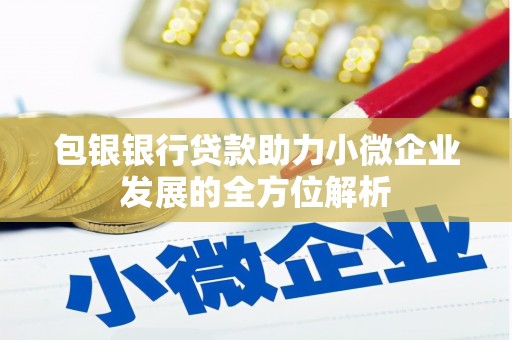 商南包银银行贷款助力小微企业发展的全方位解析