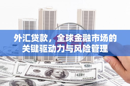 商南外汇贷款，全球金融市场的关键驱动力与风险管理
