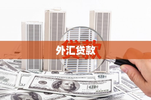 商南外汇贷款