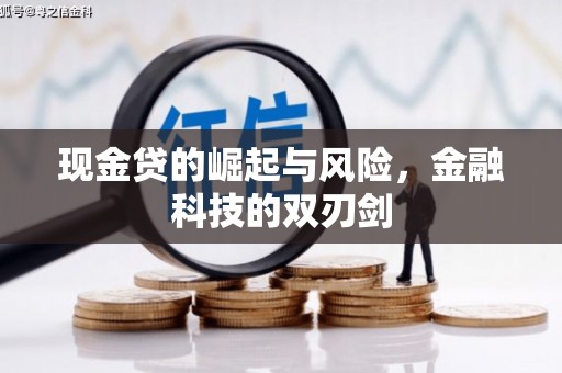 商南现金贷的崛起与风险，金融科技的双刃剑