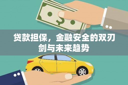 商南贷款担保，金融安全的双刃剑与未来趋势