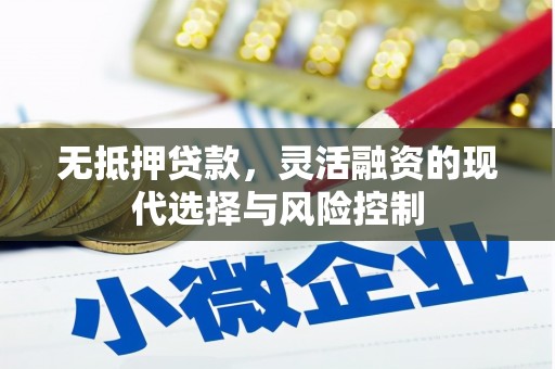 商南无抵押贷款，灵活融资的现代选择与风险控制